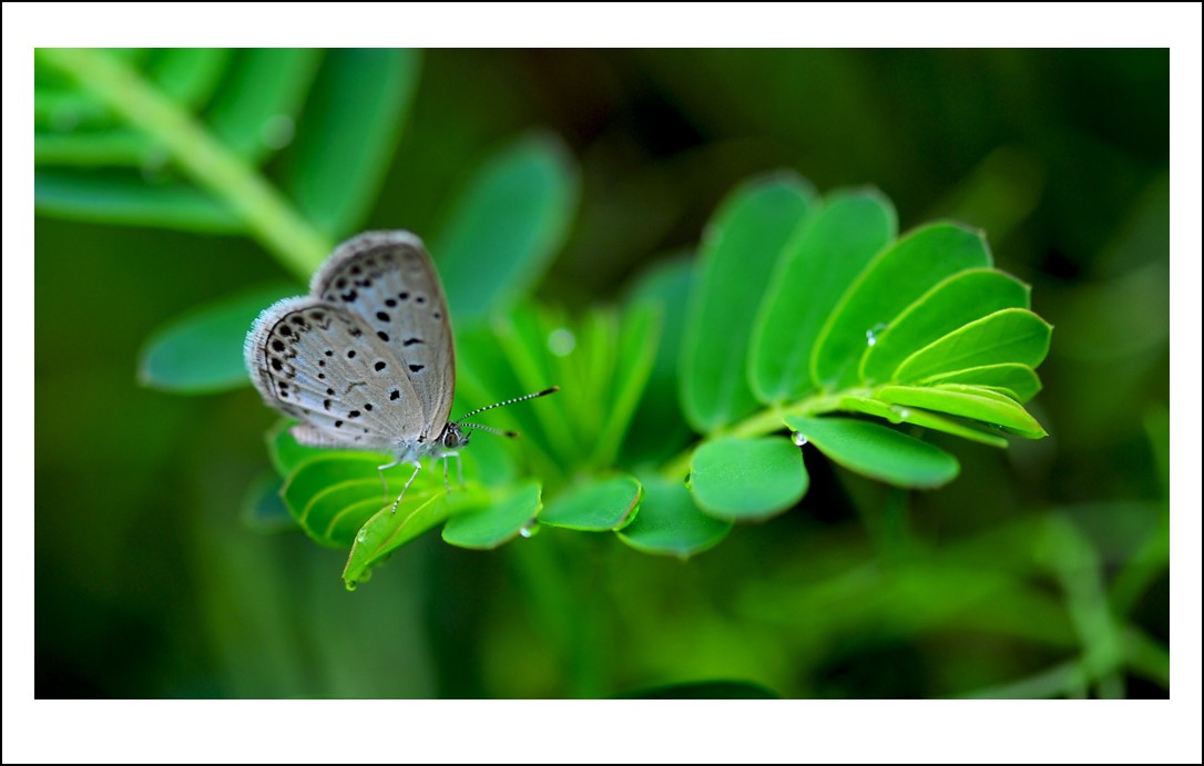 DSC_3260_conew1.jpg