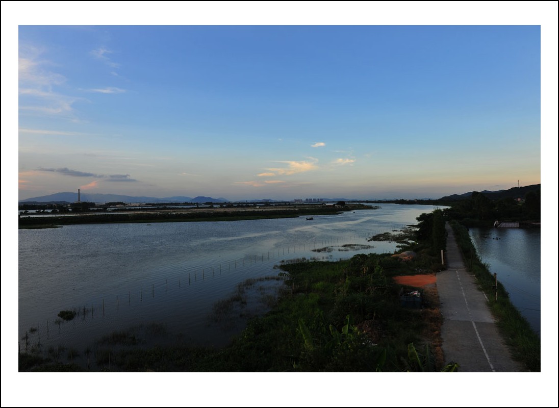 DSC_4508_conew1.jpg
