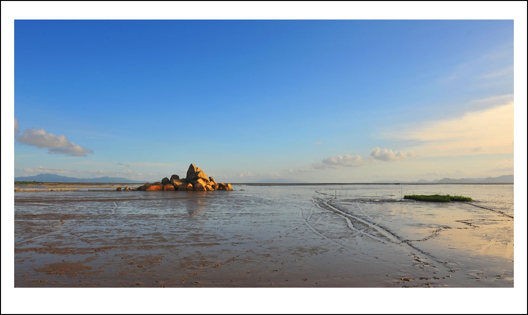 DSC_7970_conew1.jpg