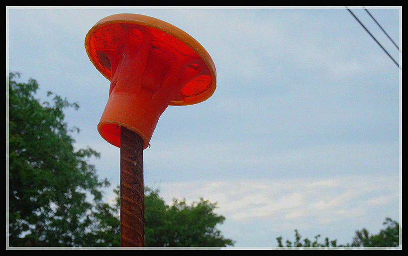 DSC05501_.jpg