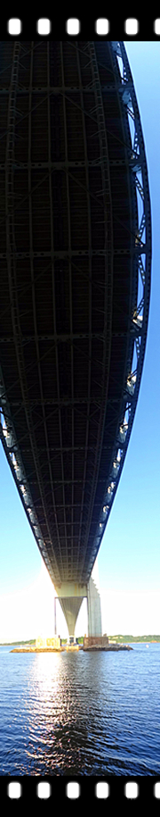 DSC05799_.jpg