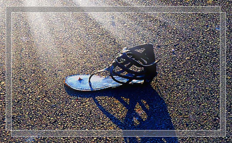 DSC05543_.jpg