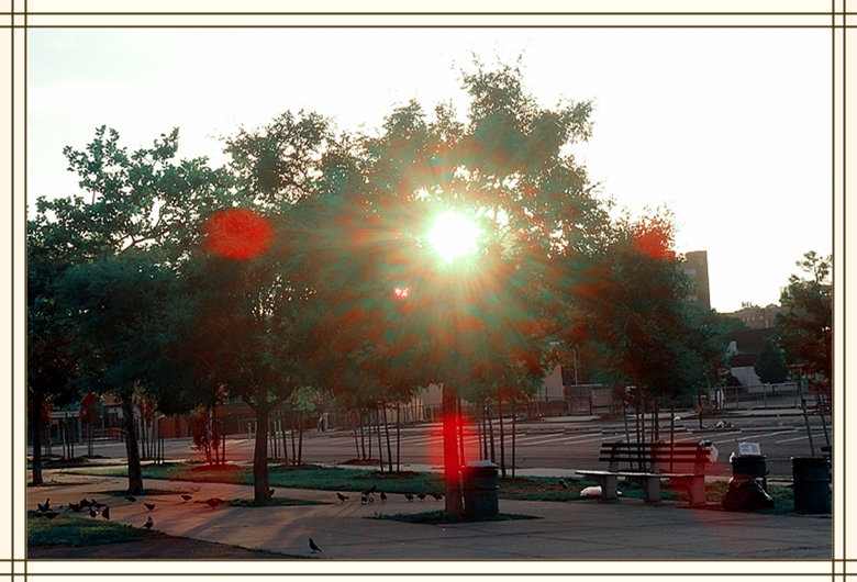 DSC05555_.jpg