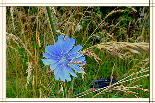 DSC05509_.jpg