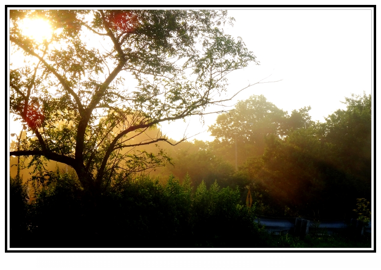 DSC05955_conew1.jpg