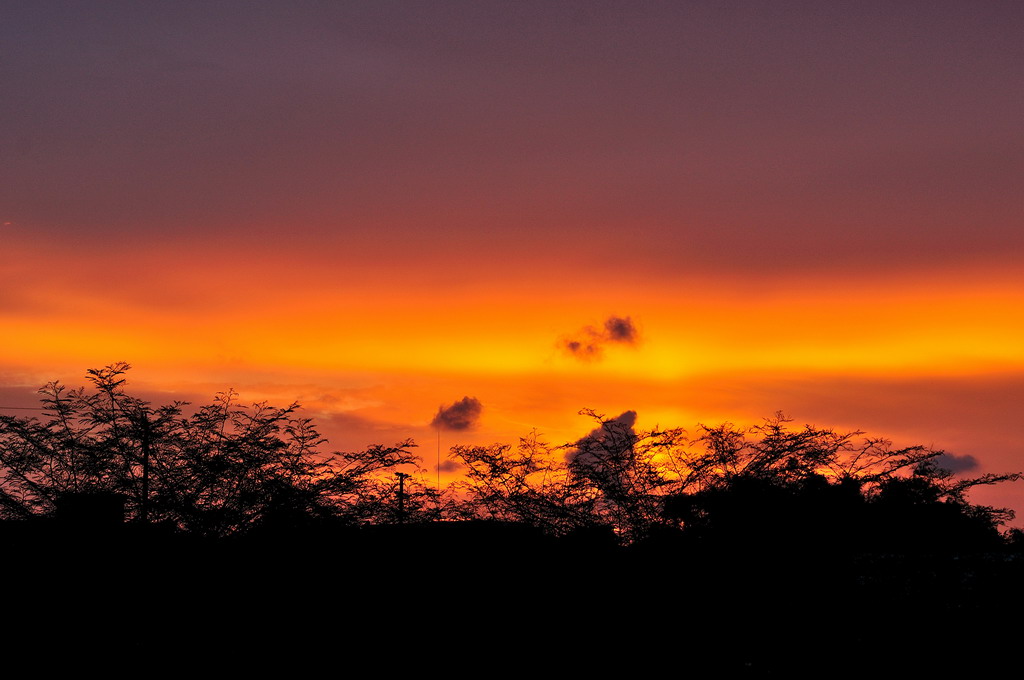 DSC_9091.jpg