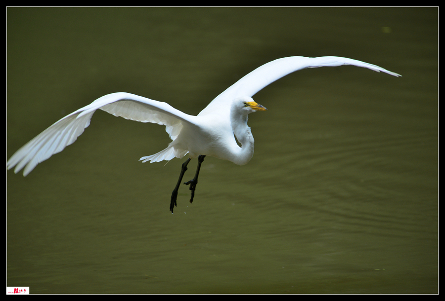 DSC_3612_.jpg