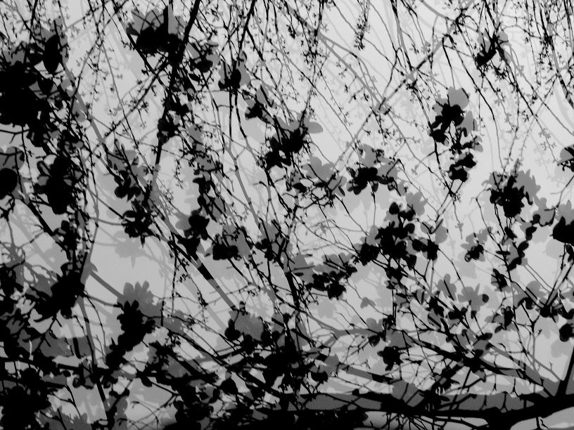 L1430776.JPG