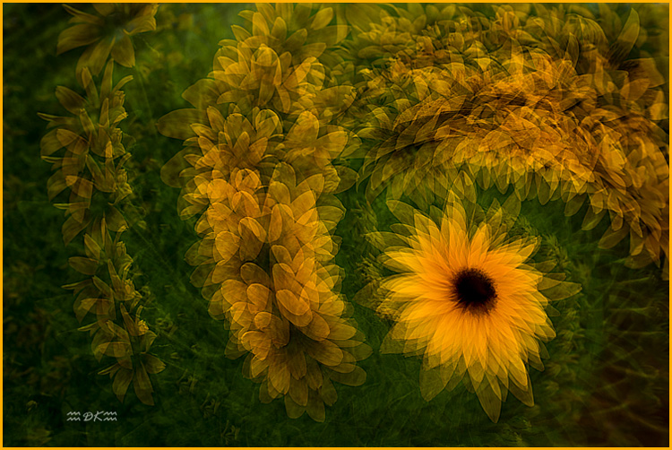 DSC_7248C1.jpg