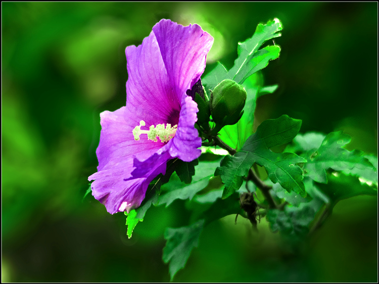 DSC_9640.jpg