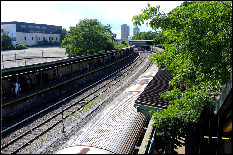DSCN3272.jpg