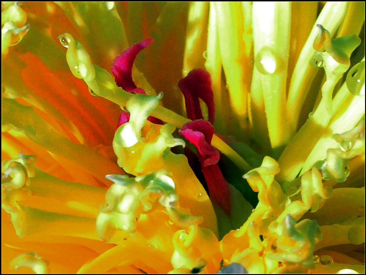 DSCN2898.jpg