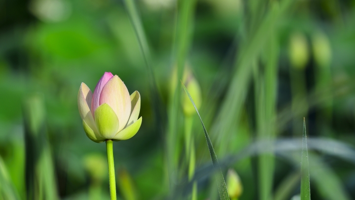 _DSC8994_.JPG