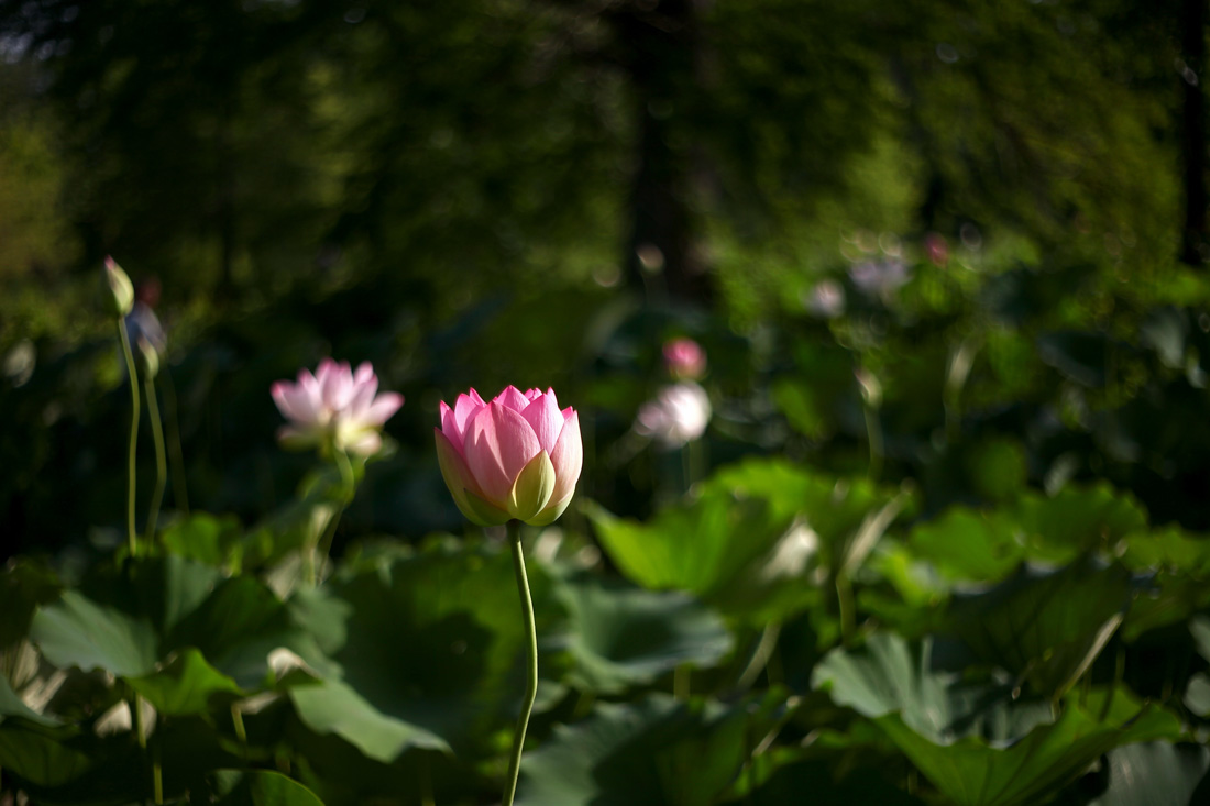 IMG_0151cc.jpg