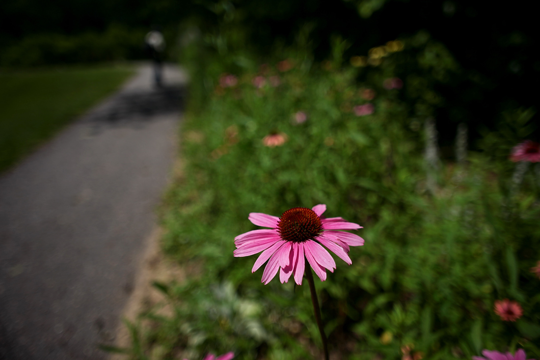 IMG_0267cc.jpg