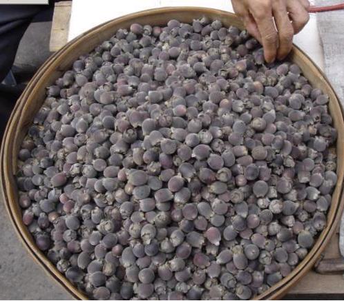 f23a0cfaa5698fdd28b46b3e670966b6683e2078967797e822bcd41bdd76db67f4643daaf6f26030b66e70ebf6133eaf05a