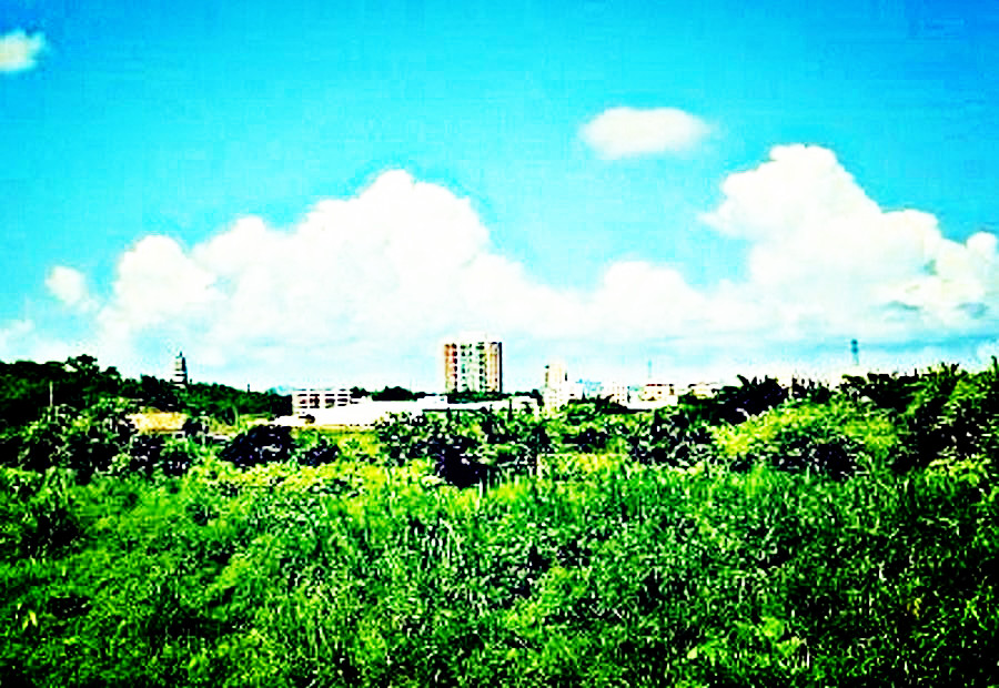 20140702_143306 - _1.jpg