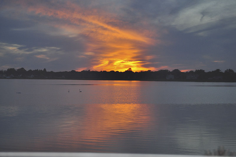 DSC_0859.jpg