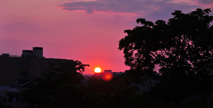 DSC_0814_.jpg