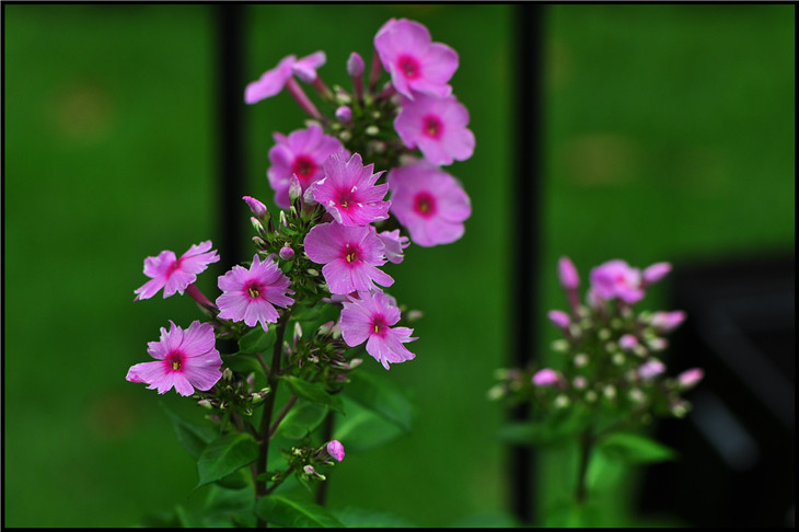 DSC_0329.jpg