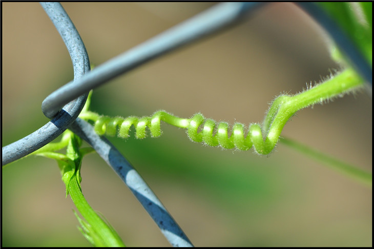 DSC_0614.jpg
