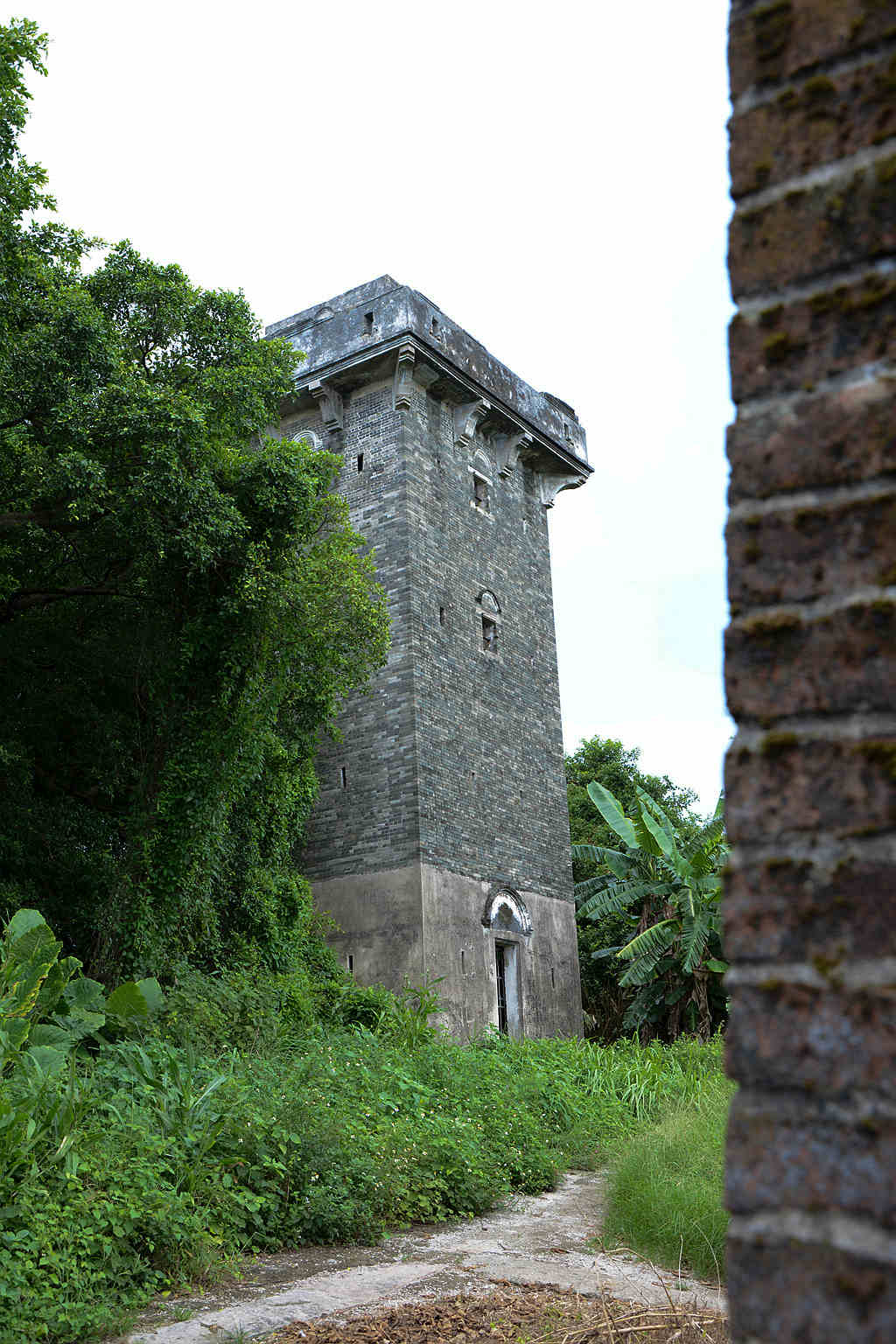 DSC_3403__.jpg