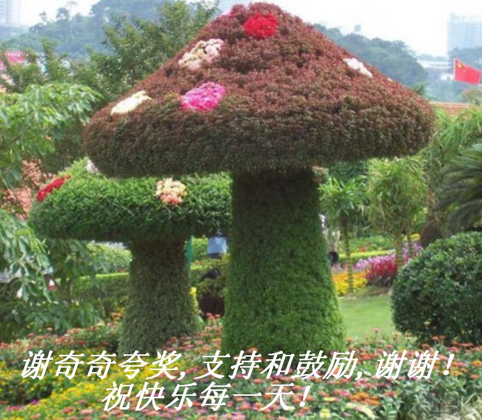 л佱,ֺ֧͹,ллףÿһ죡.JPG