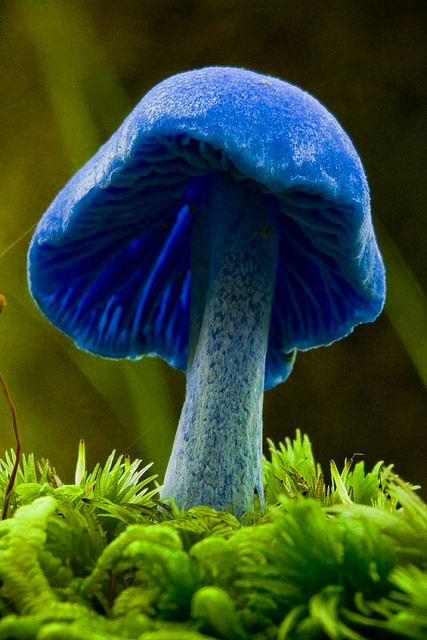 4954ed808eb9989263c59134689fc6409b9e0afb11b25-C3XevO_fw658_.jpg