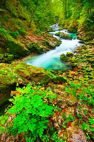 0cbedd75d94a665e91ce1c4687a93efcfbbd273d1fc1d-yNe0AY_fw658_.jpg