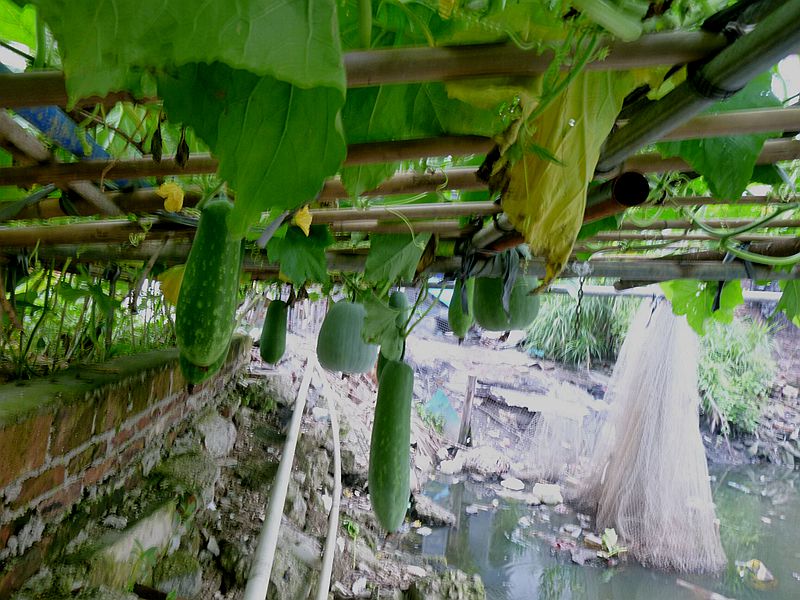 P1120014.jpg