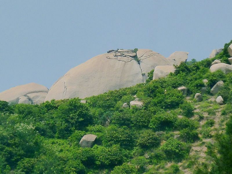 144.jpg