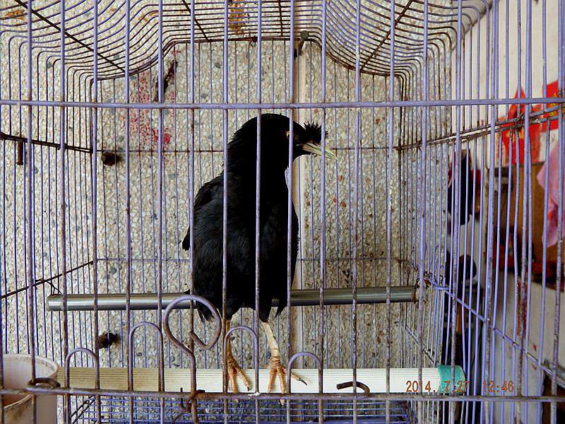 DSCF1639.jpg