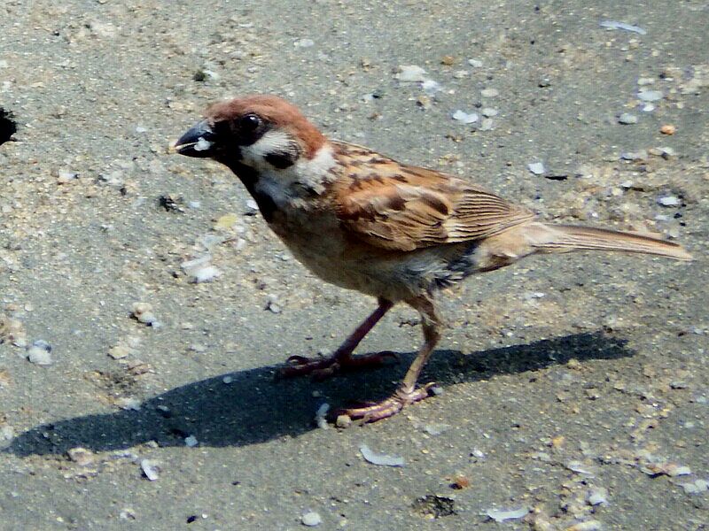 IMG_3002.jpg