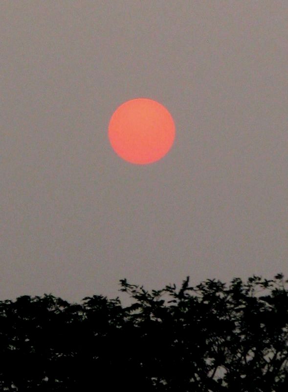 IMG_5482.jpg