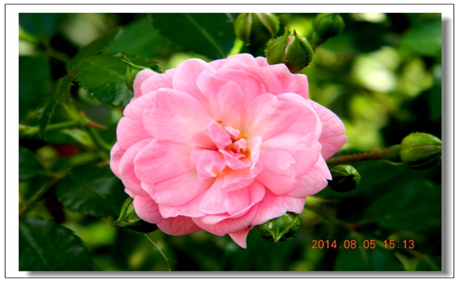 DSCN4893.JPG