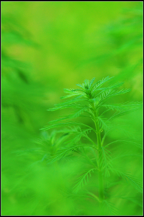 DSC_6414.JPG