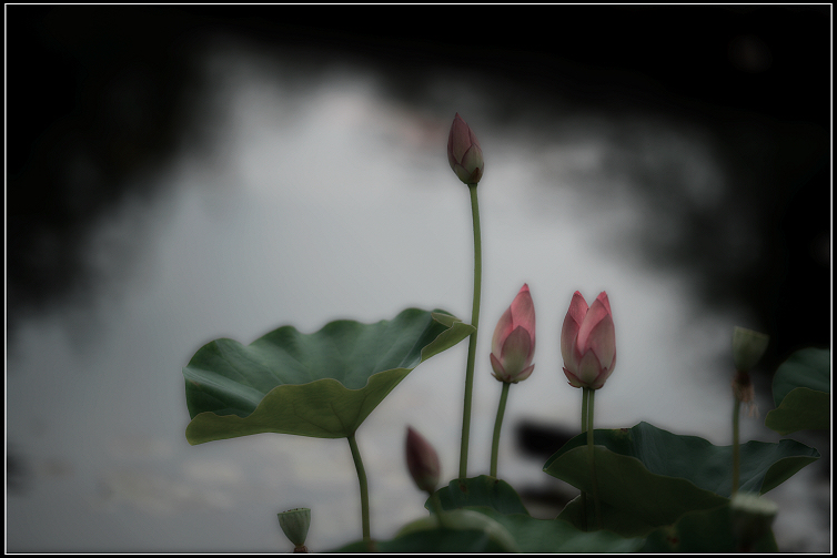 DSC_0061.JPG