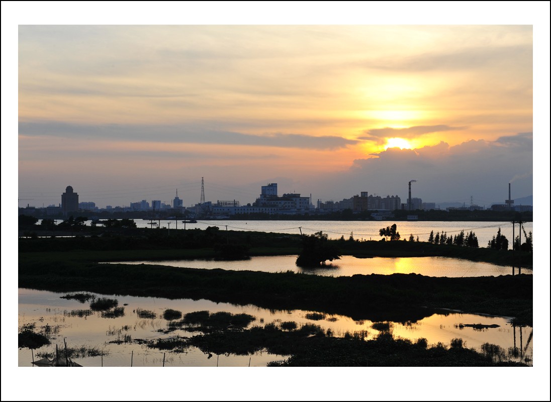 DSC_5479_conew1.jpg
