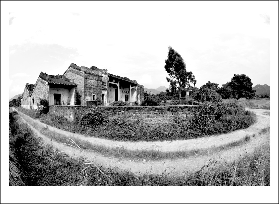 DSC_4523_conew1.jpg