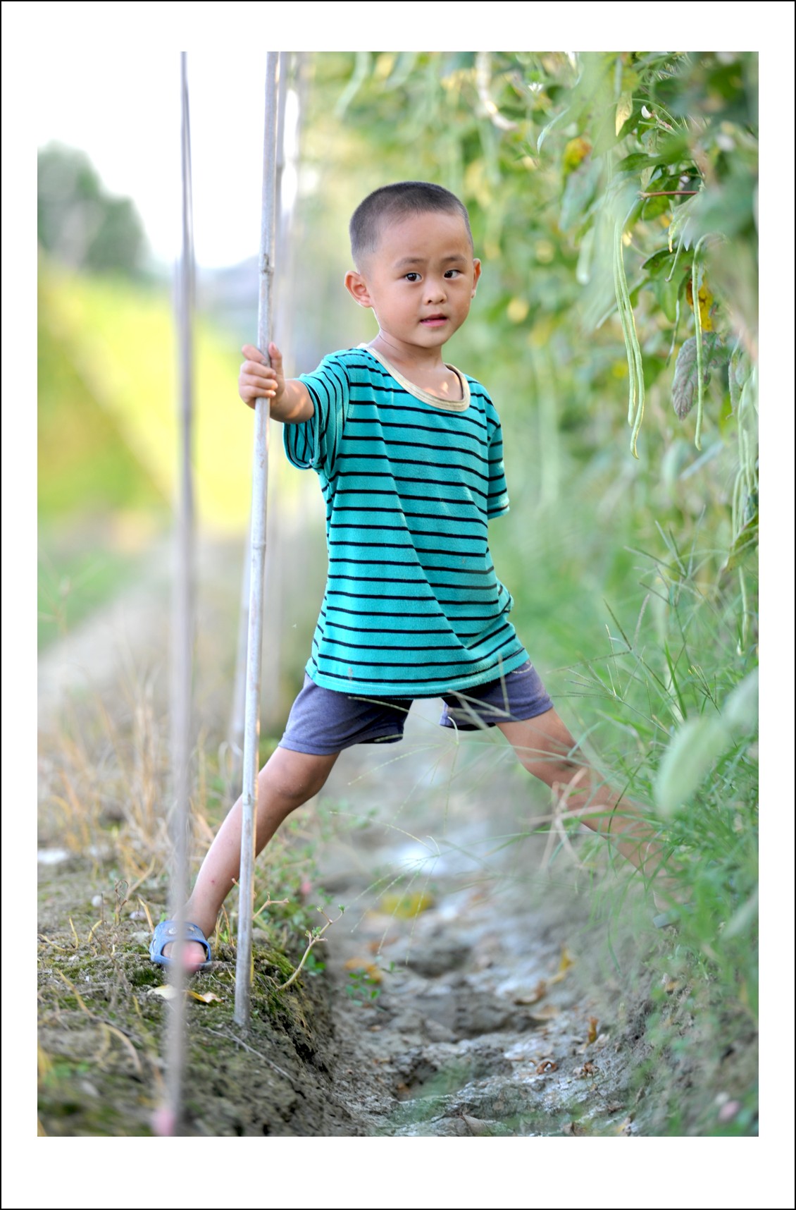 DSC_5380_conew1.jpg