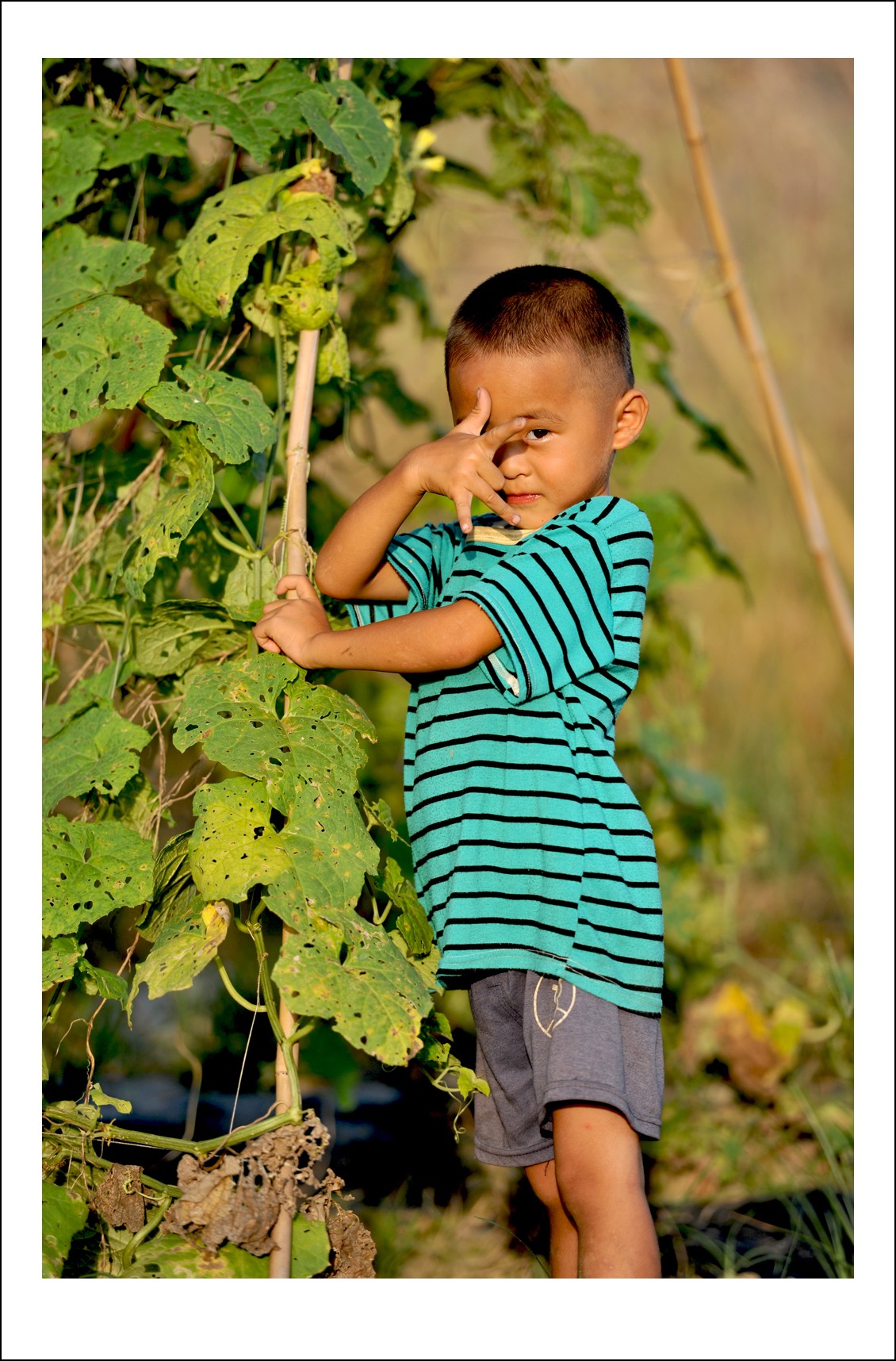 DSC_5411_conew1.jpg