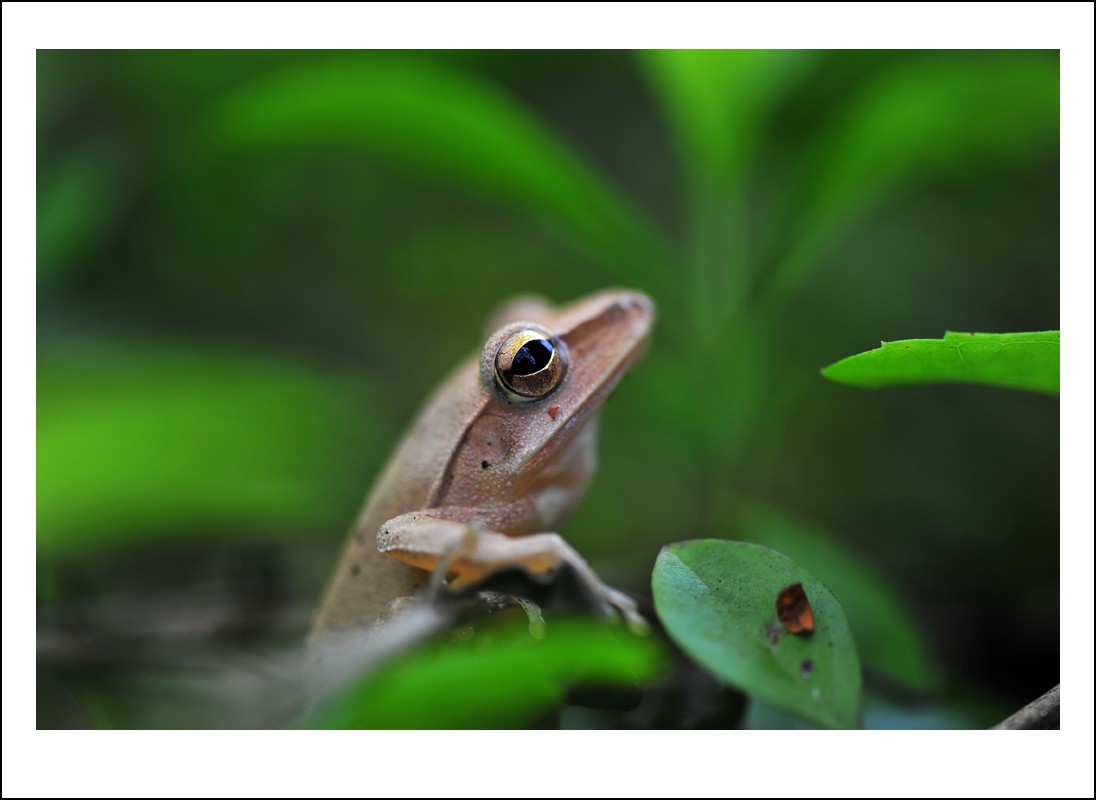 DSC_4630_conew1.jpg