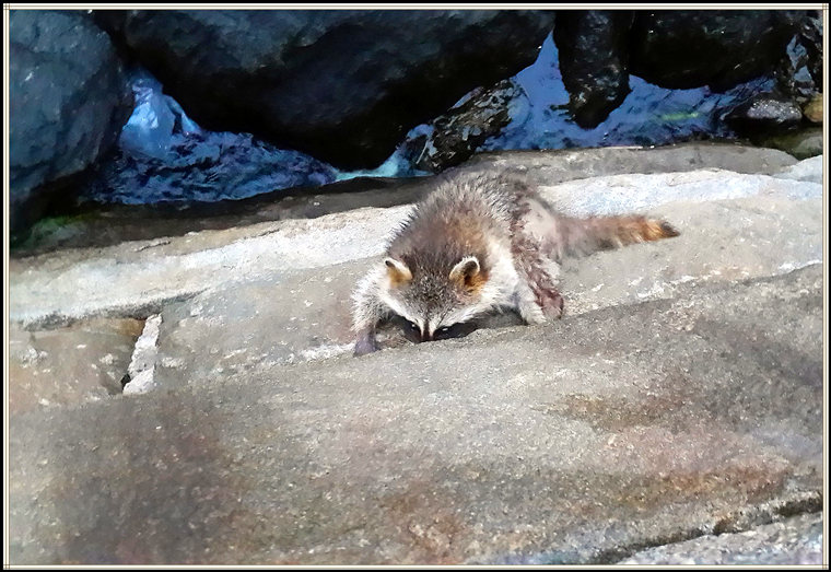 20140822_060815.jpg