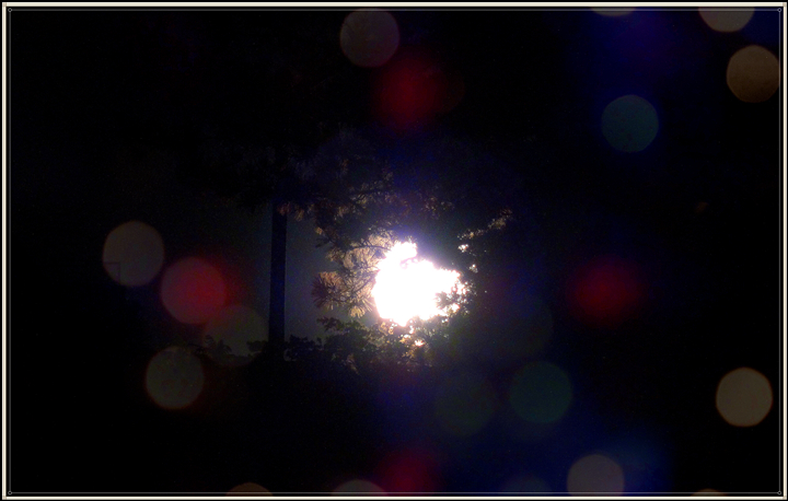 DSC06779_.jpg