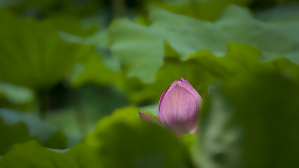 QQͼƬ20140612133847.jpg