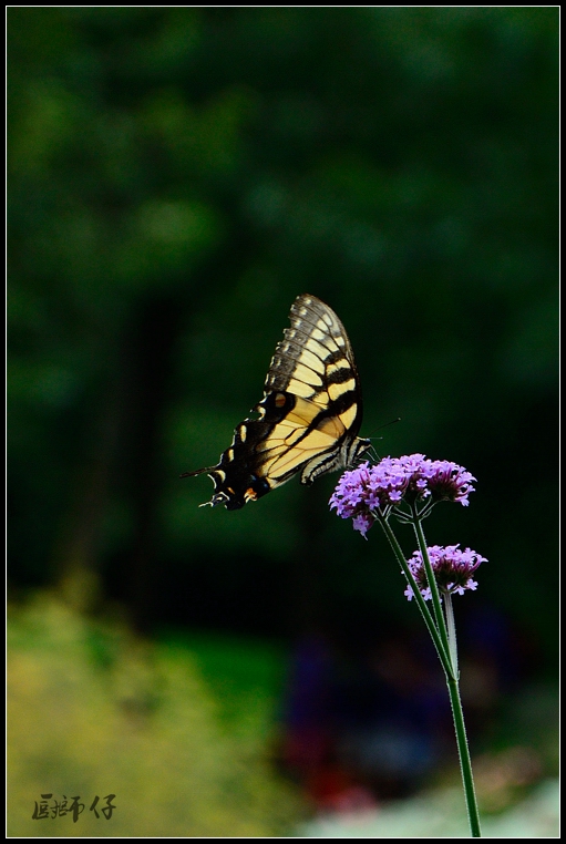 DSC_4360.jpg