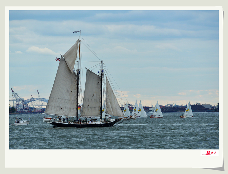 DSC_3230_.jpg