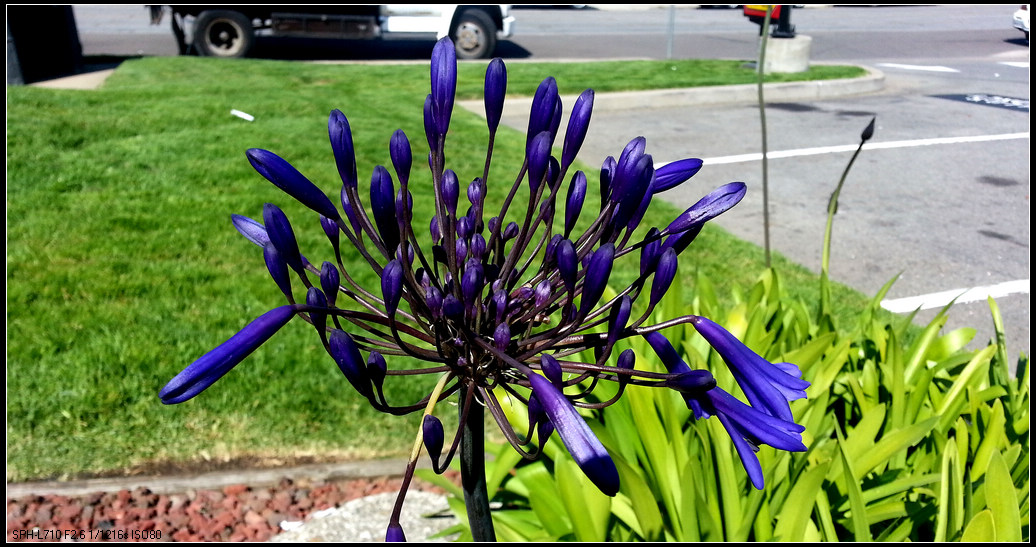 20140503_154919.jpg