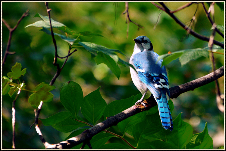 DSC_9736.jpg