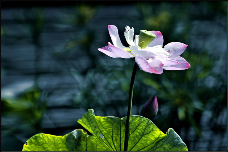 _DSC4644_.jpg